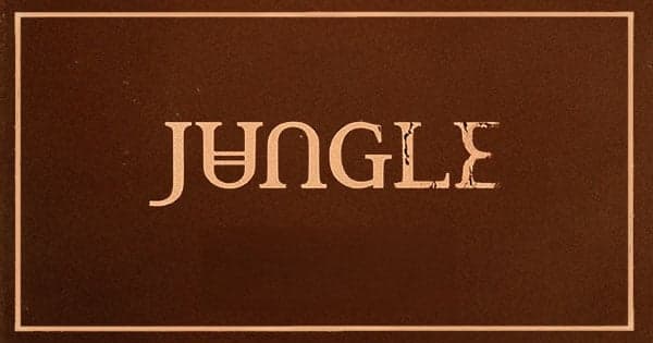 Jungle en Santander Arena