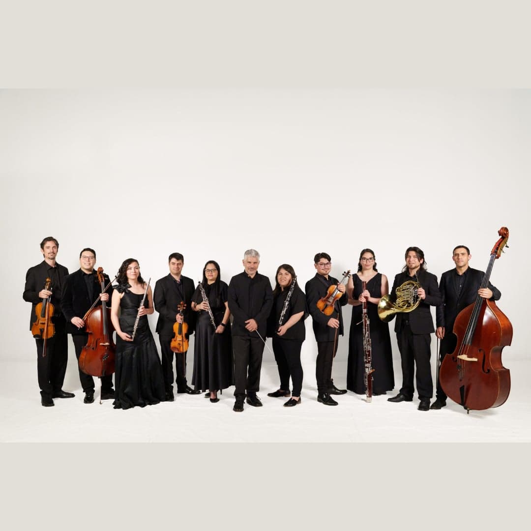 Grandes Invitados: Orquesta de Camara de Valdivia