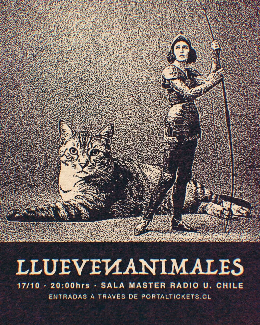 LLUEVEN ANIMALES